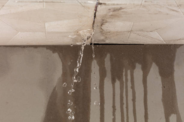 Professional Structural Drying technician working in Flushing, NY